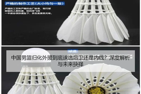 中国男篮归化外援到底该选后卫还是内线？深度解析与未来抉择