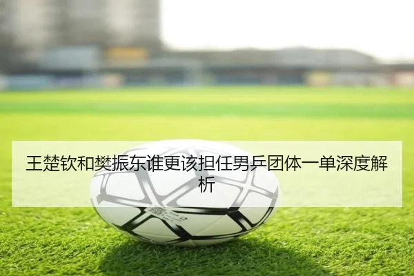 王楚钦和樊振东谁更该担任男乒团体一单深度解析